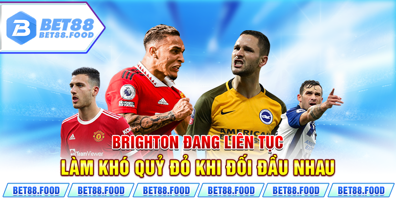 Brighton đang liên tục làm khó Quỷ Đỏ khi đối đầu nhau